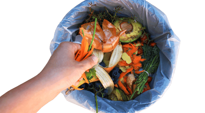 food waste recycling at home