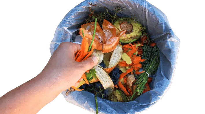 food waste recycling at home