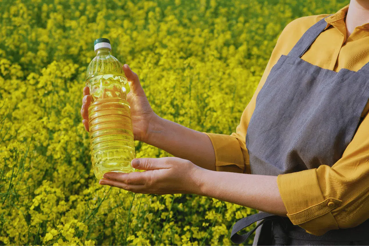 rapeseed oil vs olive oil